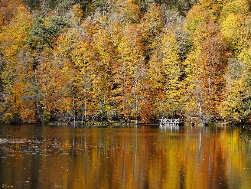 A True Natural Beauty: Yedigöller National Park