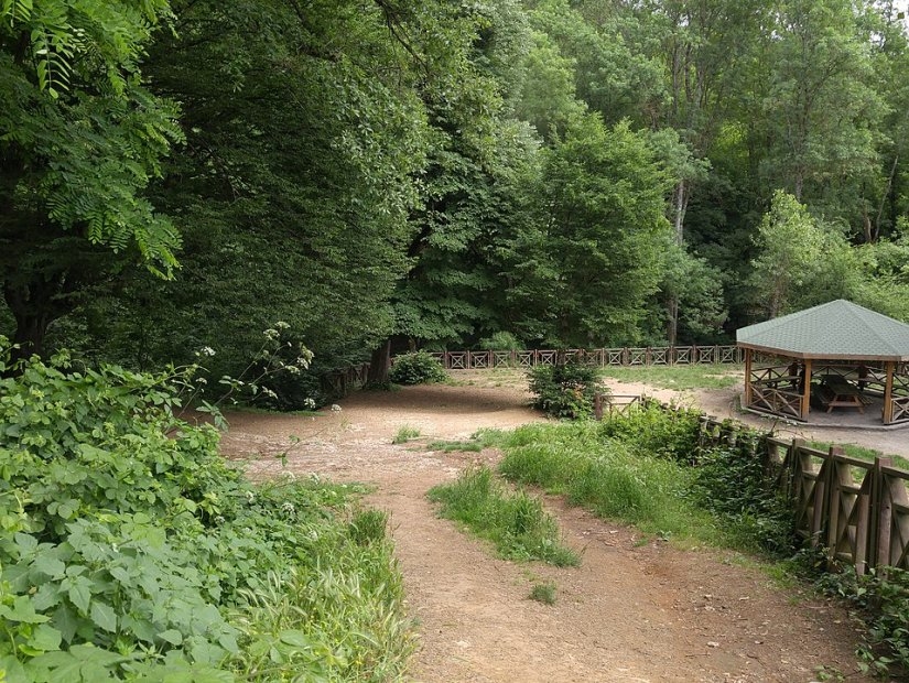 La forêt de Belgrad : Fuir la ville