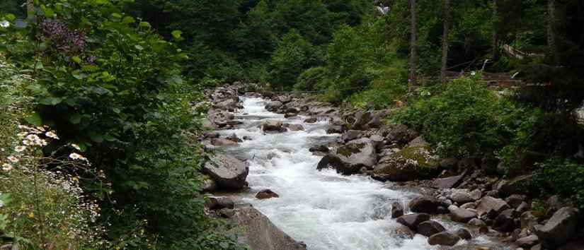 Rize میں Fırtına Creek