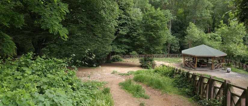 La forêt de Belgrad : Fuir la ville